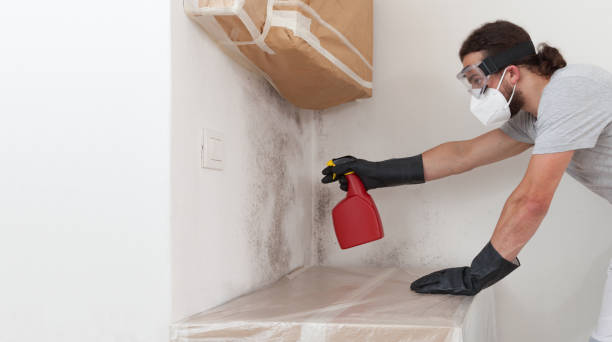 Professional Crawl Space Mold Remediation technician working in Potomac, MD
