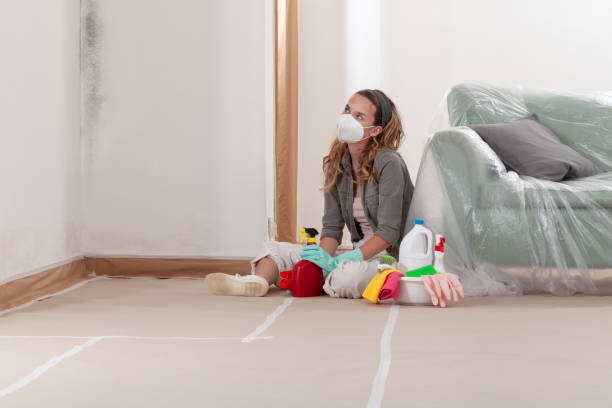 Reliable Crawl Space Mold Remediation contractor in Potomac, MD by 24 Hour Mold Removal