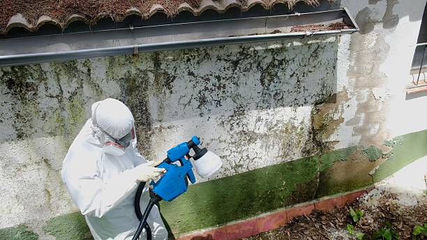 Top rated local Crawl Space Mold Remediation specialists in Potomac, MD